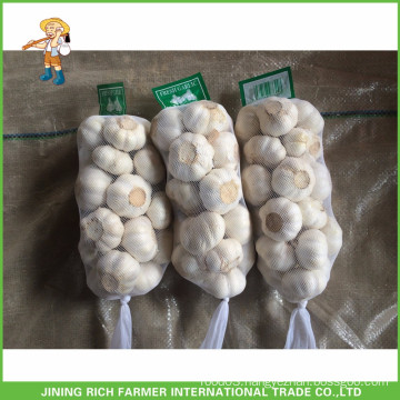 Fresh Style New Crop Fresh Garlic Pure White Garlic 5.0cm